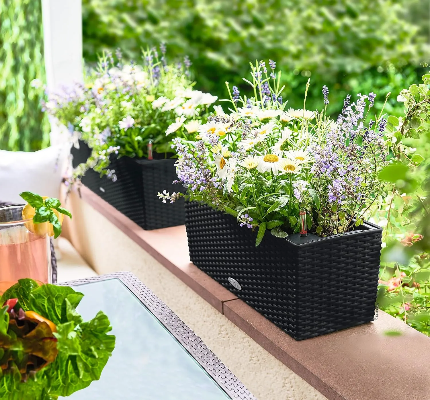 Lechuza 15609 Balconera Cottage 50 Self-Watering Indoor and Outdoor Use, 20" x 7" x 7", Black Planter, 50 x 19 x 19 cm