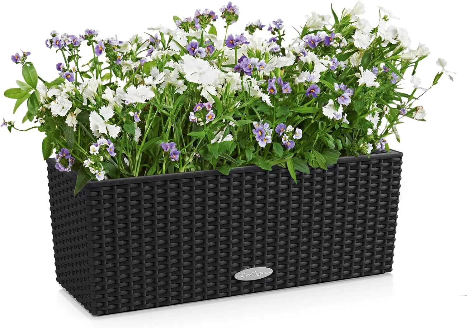 Lechuza 15609 Balconera Cottage 50 Self-Watering Indoor and Outdoor Use, 20" x 7" x 7", Black Planter, 50 x 19 x 19 cm