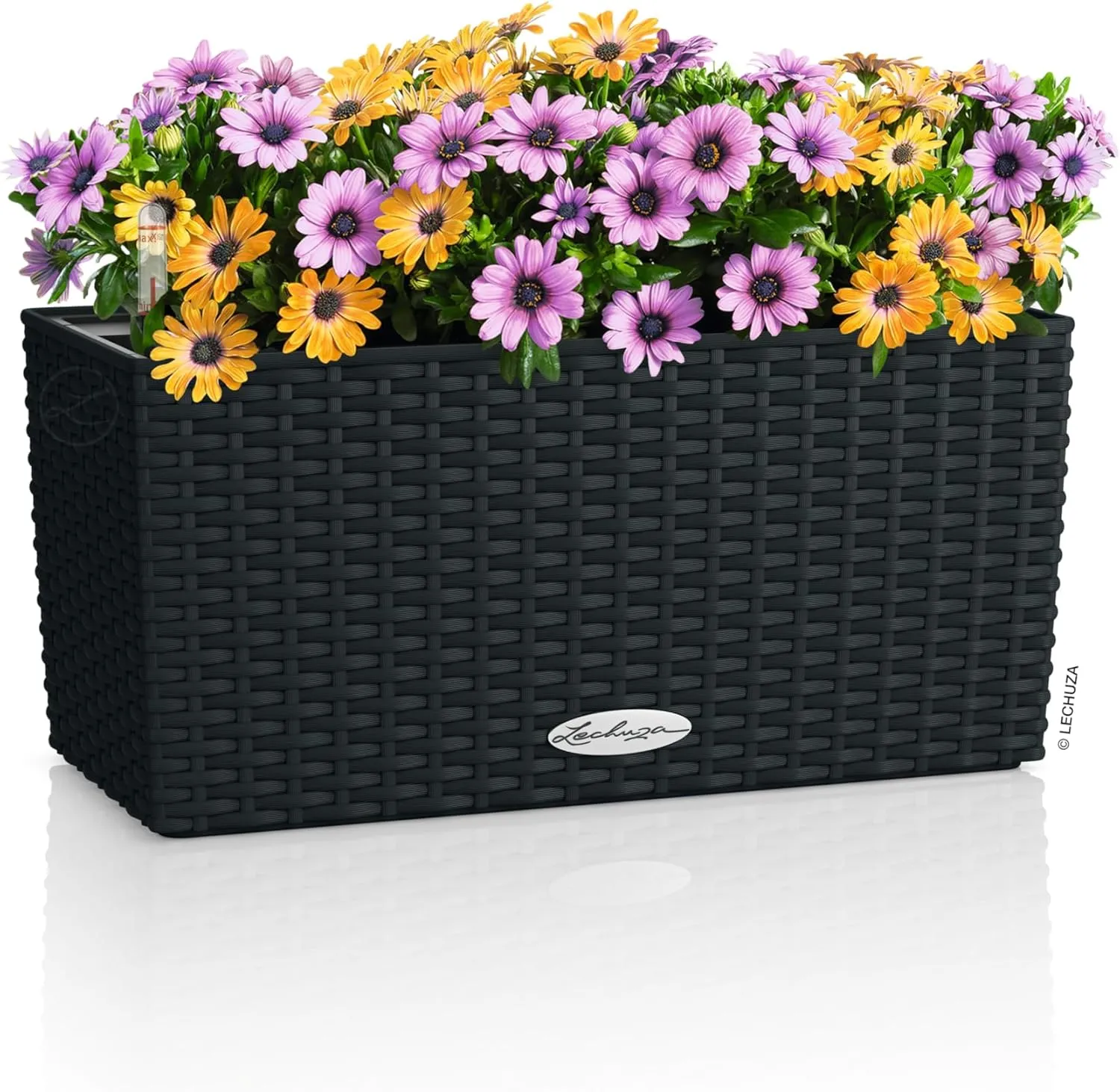 Lechuza - Balconera Cottage 40 Planter, Graphite Black, Balcony Box with Watering System, Water Level Indicator and Plant Insert, Wicker Look, 40 x 19 x 19 cm, 15475