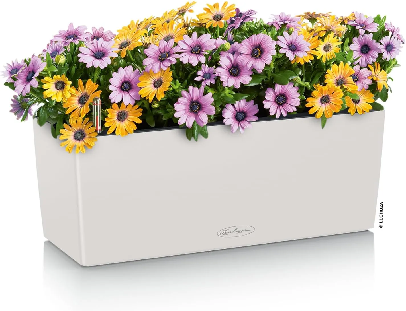 Lechuza Planter with Under-Irrigation System, Light Grey, 50