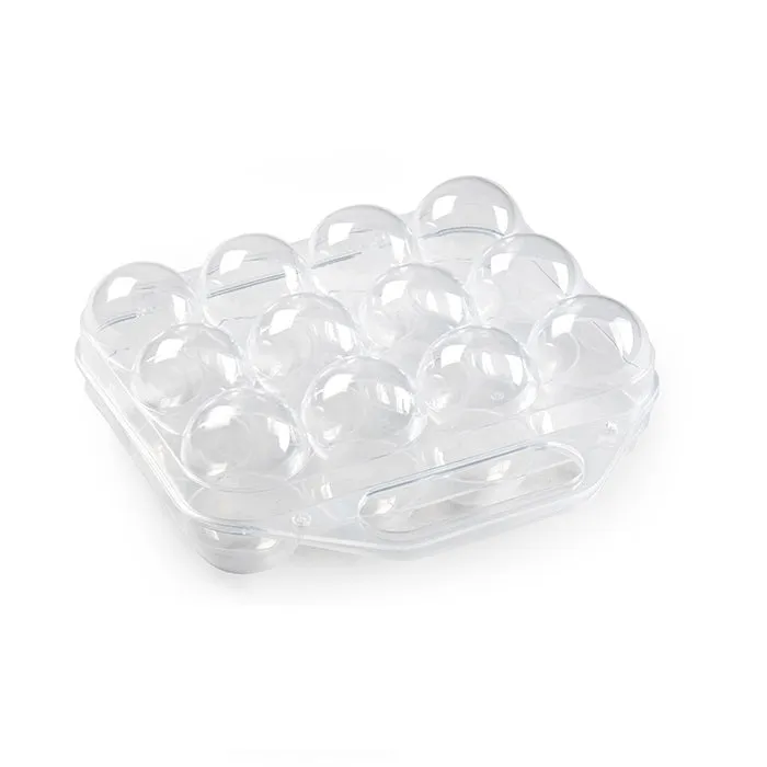 Plastic Forte Plastic Egg Storage Case, Transparent