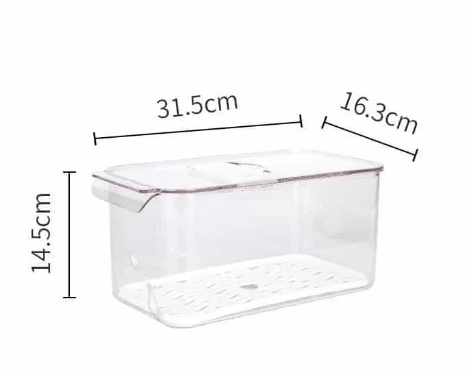 Transparent Plastic Refrigerator Storage Box
