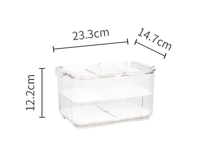 Transparent Plastic Refrigerator Storage Box