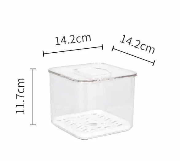 Transparent Plastic Refrigerator Storage Box